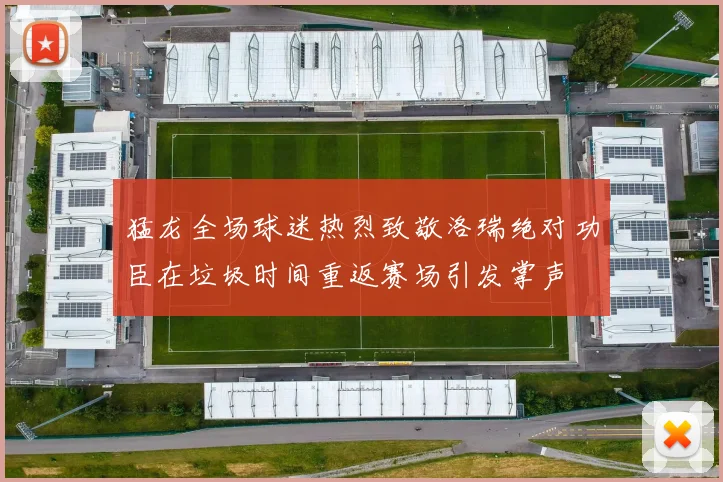 猛龙全场球迷热烈致敬洛瑞绝对功臣在垃圾时间重返赛场引发掌声