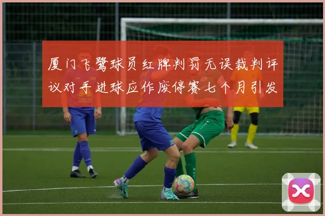厦门飞鹭球员红牌判罚无误裁判评议对手进球应作废停赛七个月引发热议